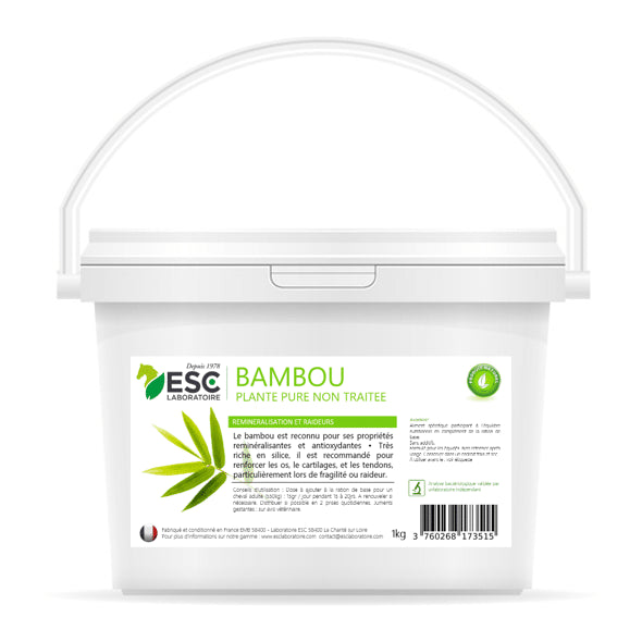 Bambou – Reminéralisation et raideurs articulaires