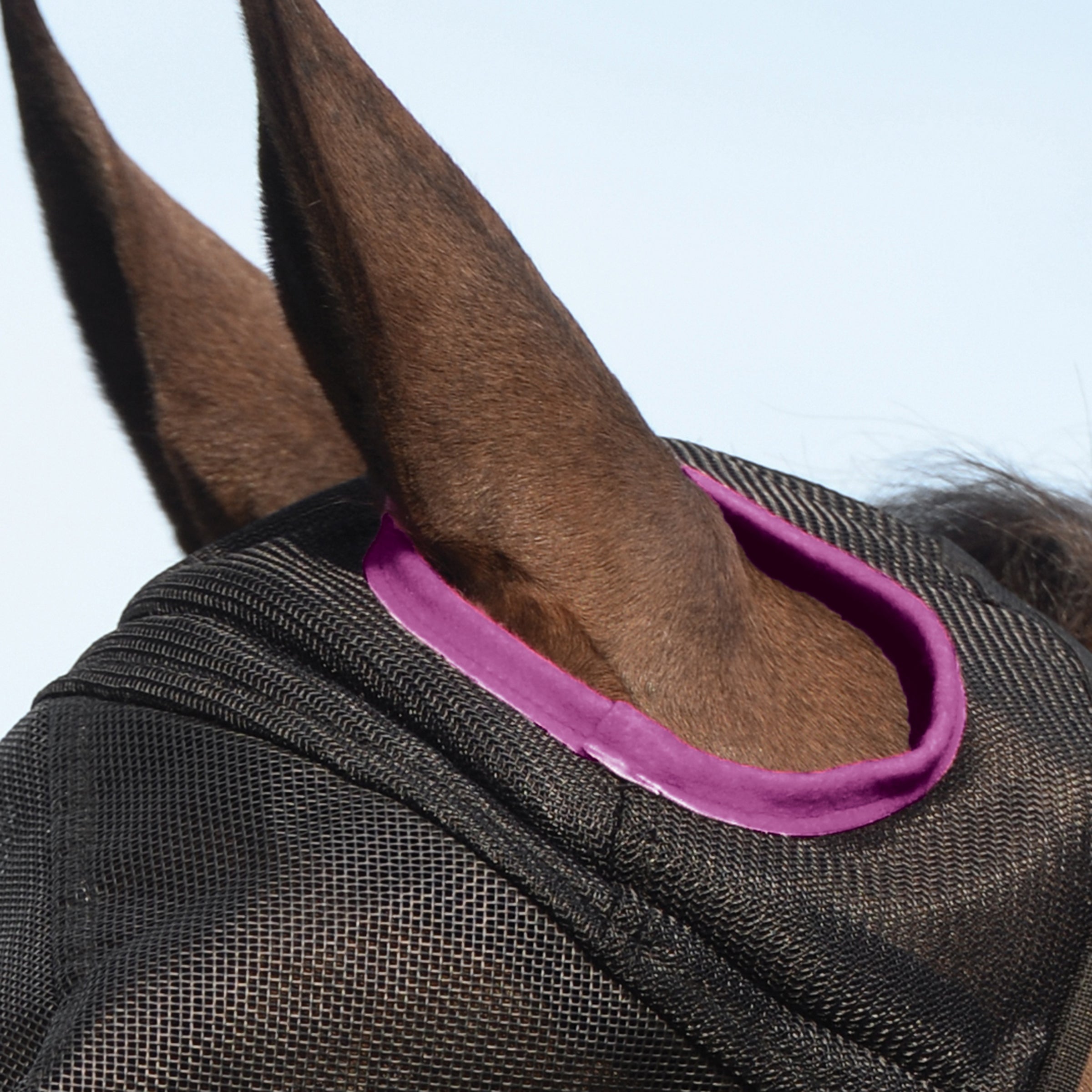 ComFiTec Deluxe Durable masque en mesh