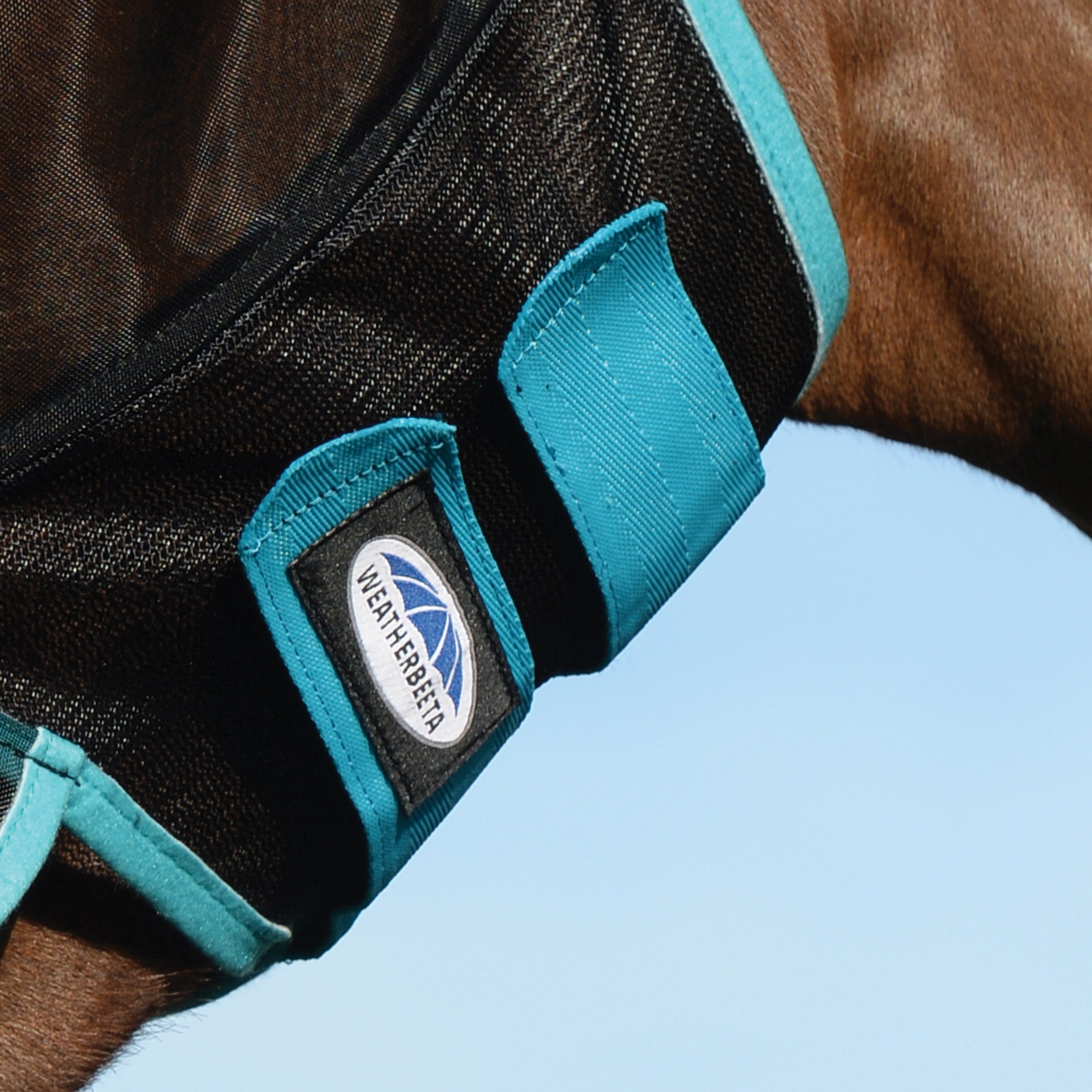 ComFiTec Deluxe Masque à mailles fines sans oreilles