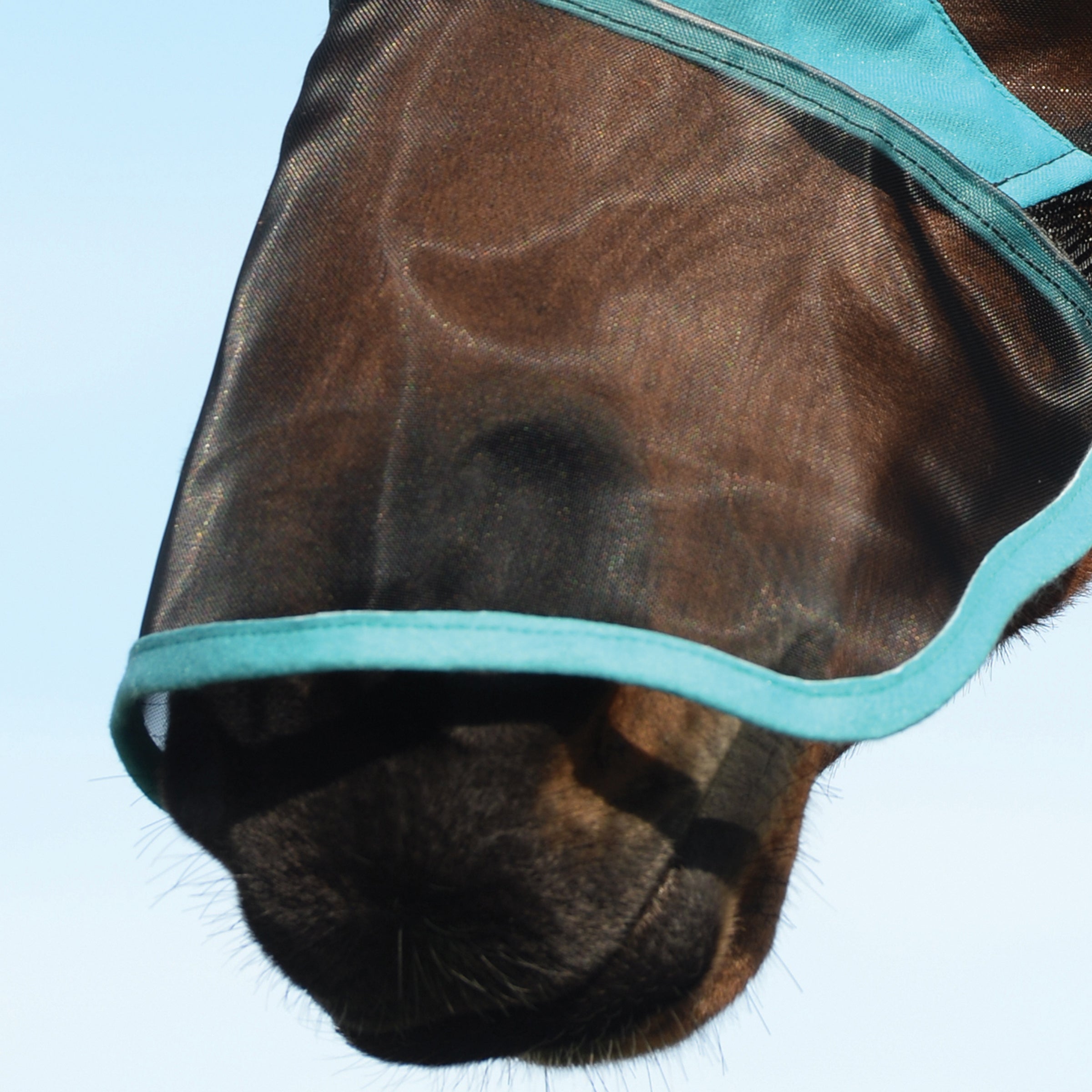 ComFiTec Deluxe masque à mailles fines avec oreilles et nez