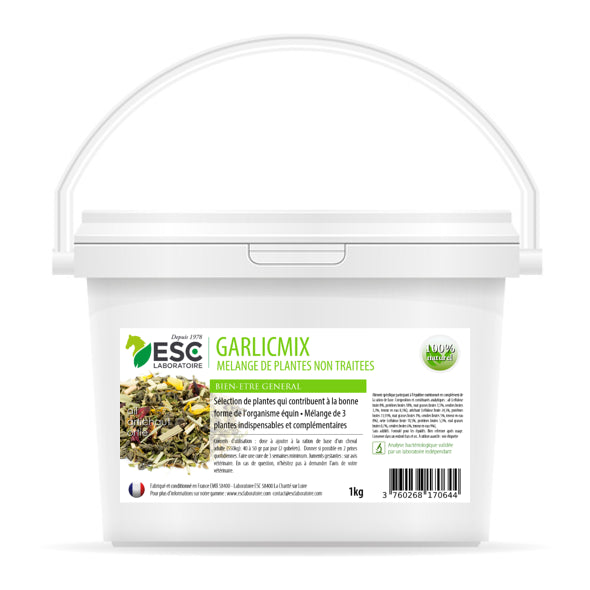 Garlic Mix – Ail, Ortie, Artichaut