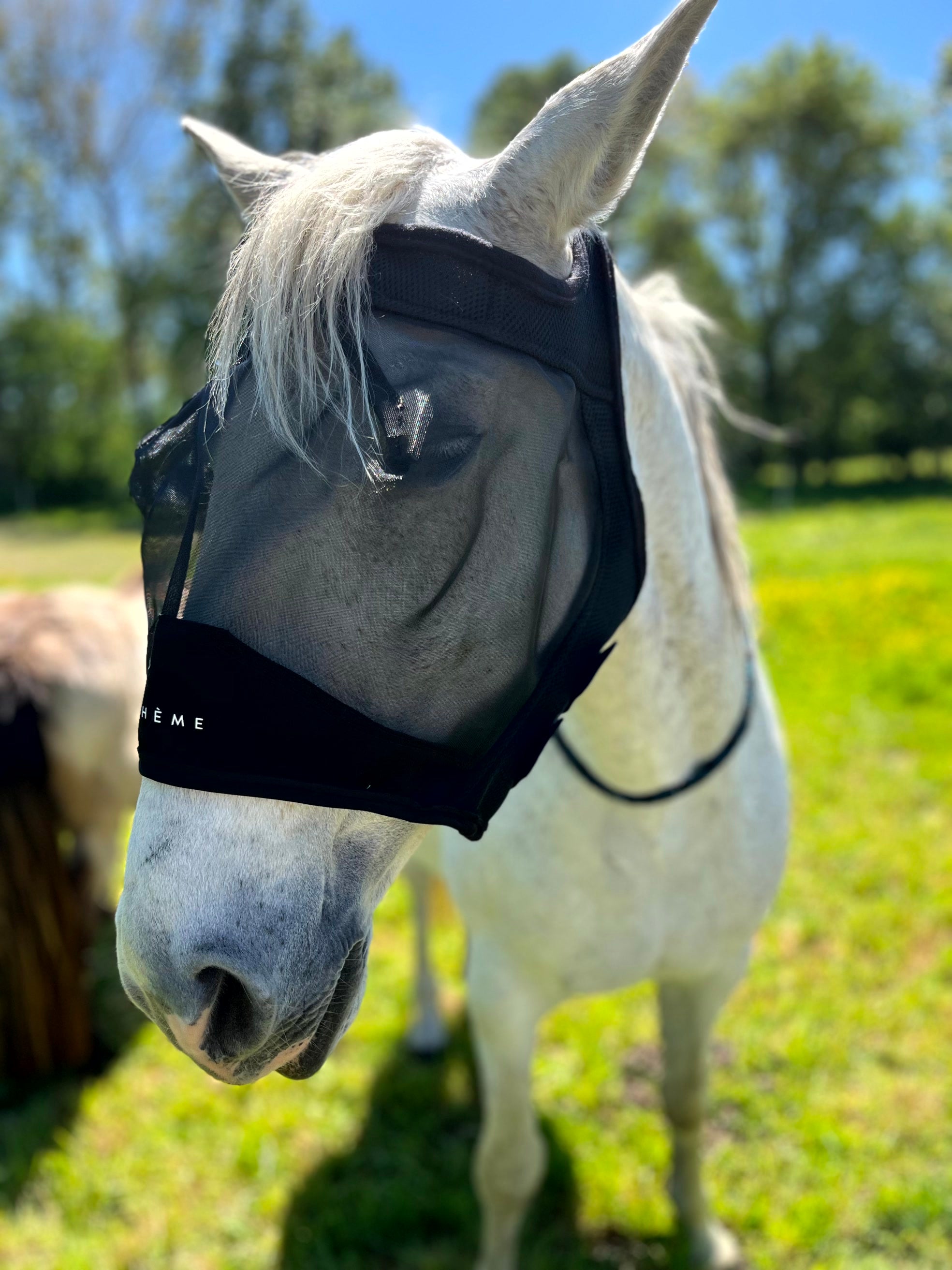 Masque anti-mouches anti-UV EQUITHÈME - Mesh sans oreilles pour âne et cheval