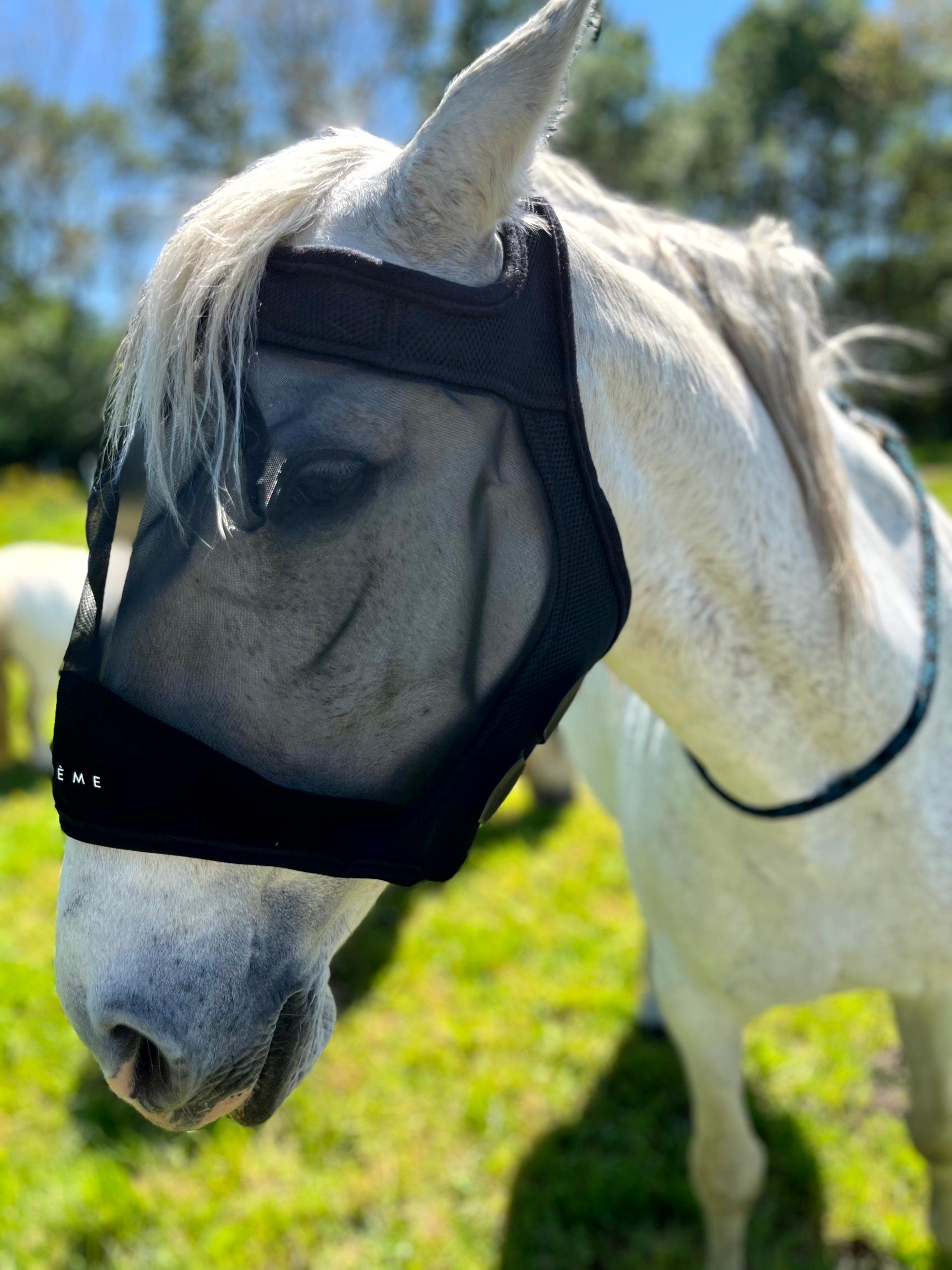 Masque anti-mouches anti-UV EQUITHÈME - Mesh sans oreilles pour âne et cheval