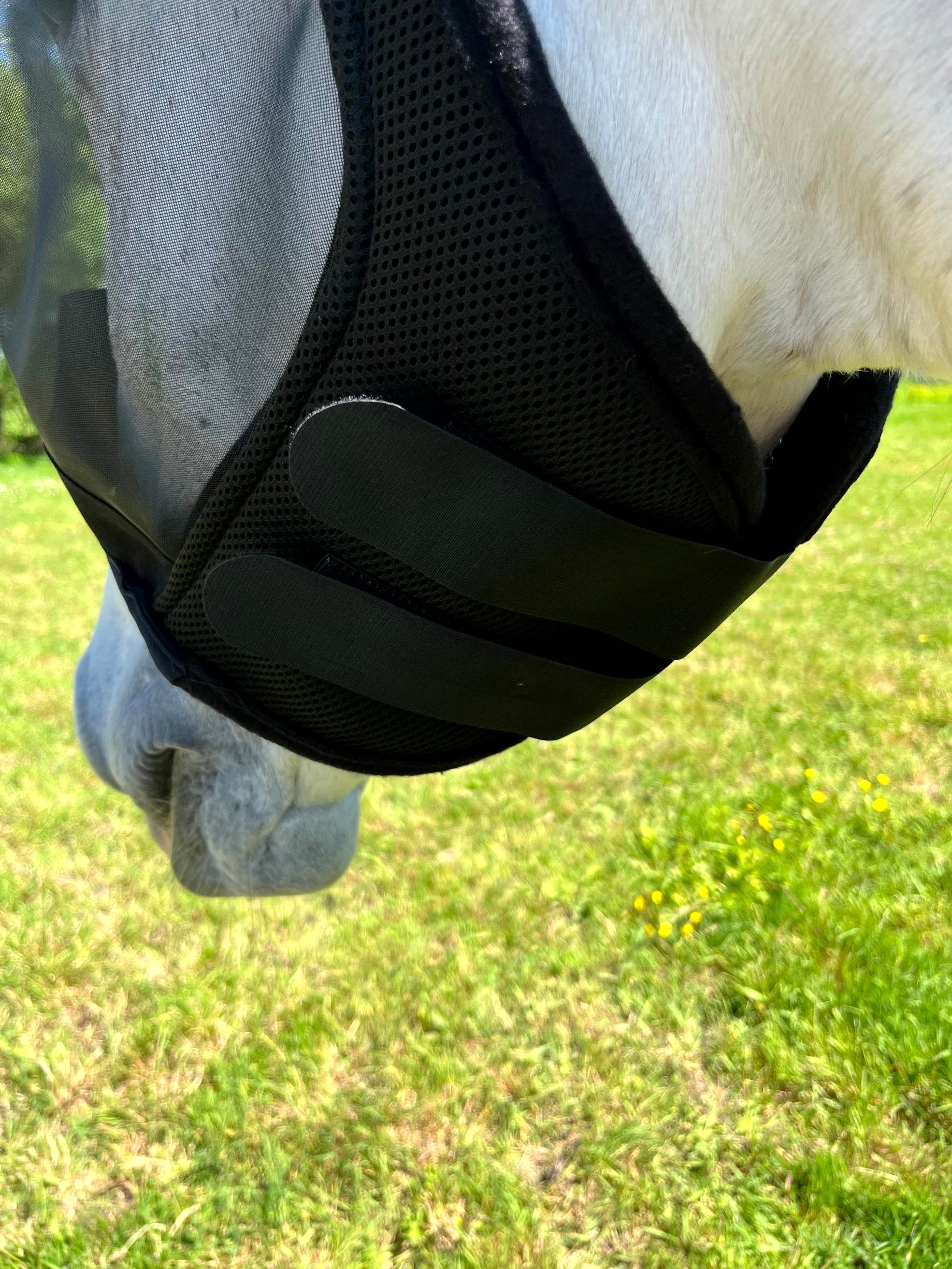 Masque anti-mouches anti-UV EQUITHÈME - Mesh sans oreilles pour âne et cheval