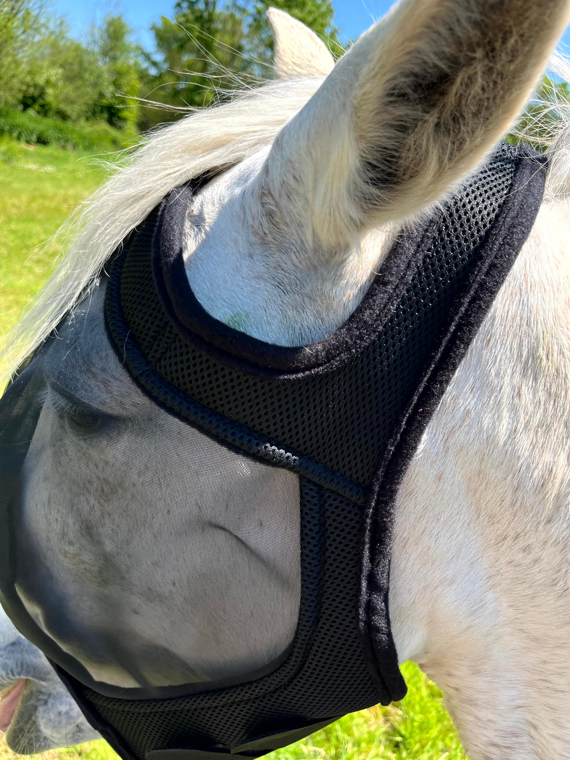 Masque anti-mouches anti-UV EQUITHÈME - Mesh sans oreilles pour âne et cheval