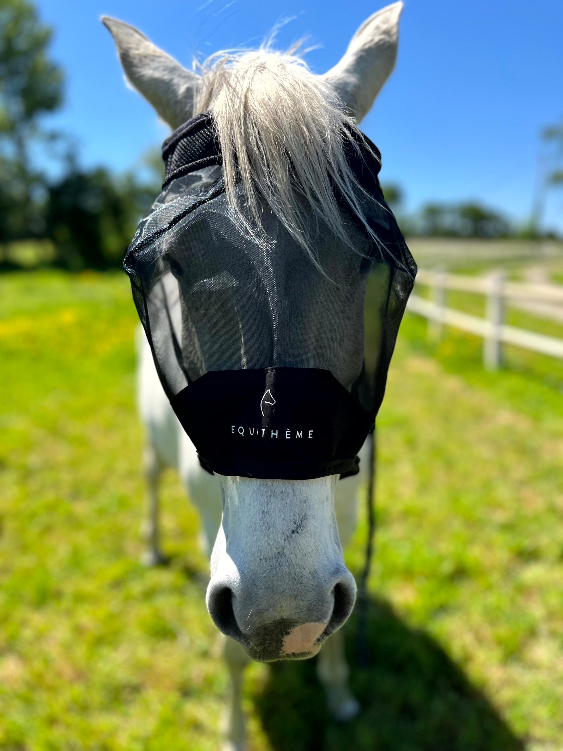 Masque anti-mouches anti-UV EQUITHÈME - Mesh sans oreilles pour âne et cheval