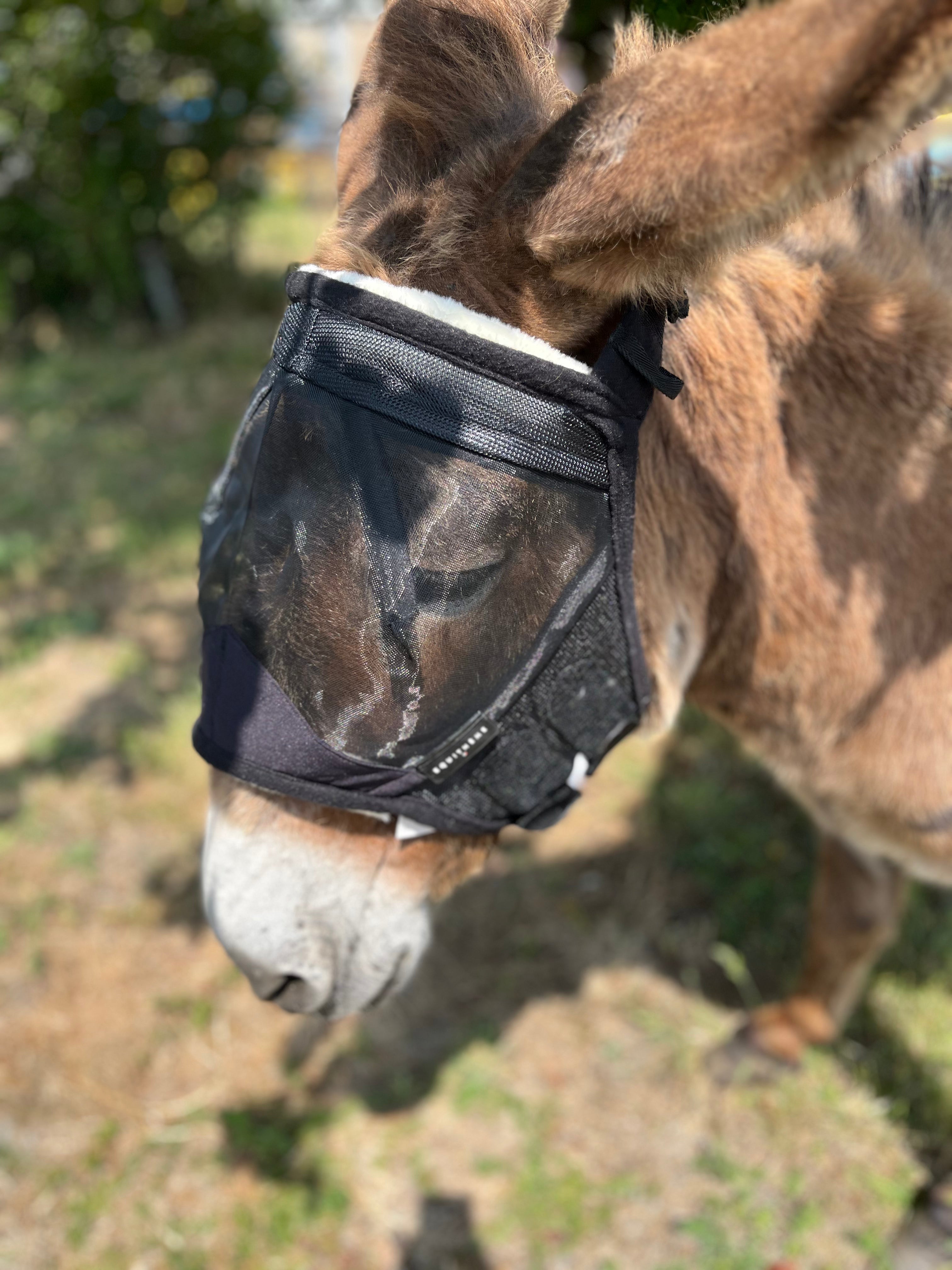 Equitheme Polar Thoroughbred Fly Mask