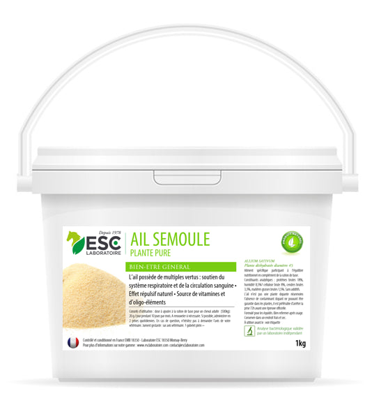 Ail Semoule – Bien-être général du cheval