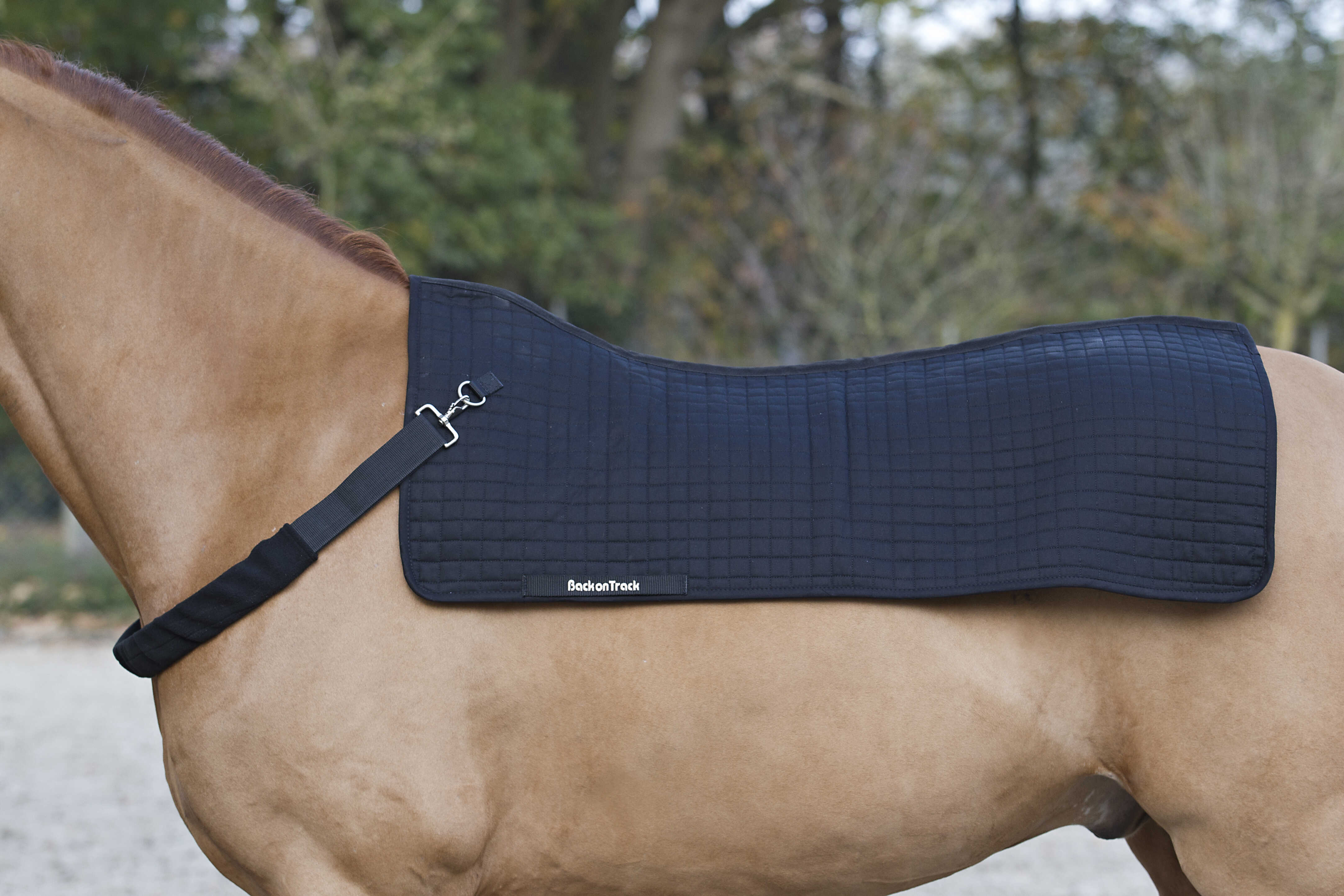 Chauffe-Dos Back Warmer Royal – Soulagement et détente musculaire