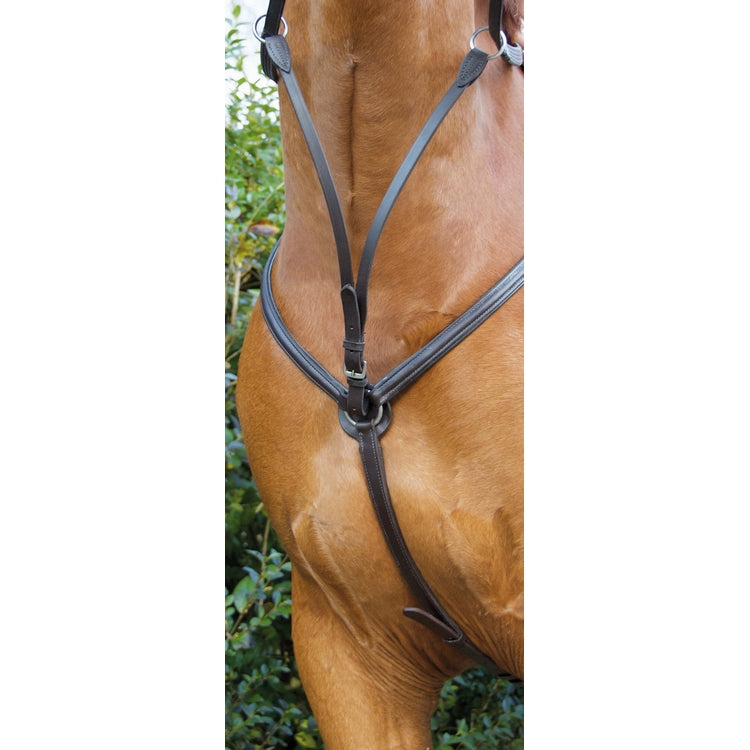 Collier de chasse en cuir de buffle doublé cuir – Martingale amovible