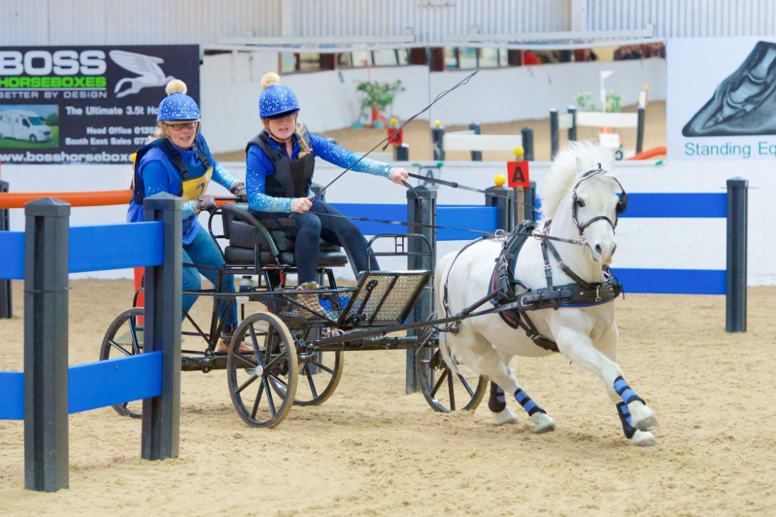 Harnais De Conduite Complet En Cuir Pour Poney Ou Cheval - Ensemble Harnais De Conduite Complet En Cuir Pour Poney Ou Cheval - Ensemble