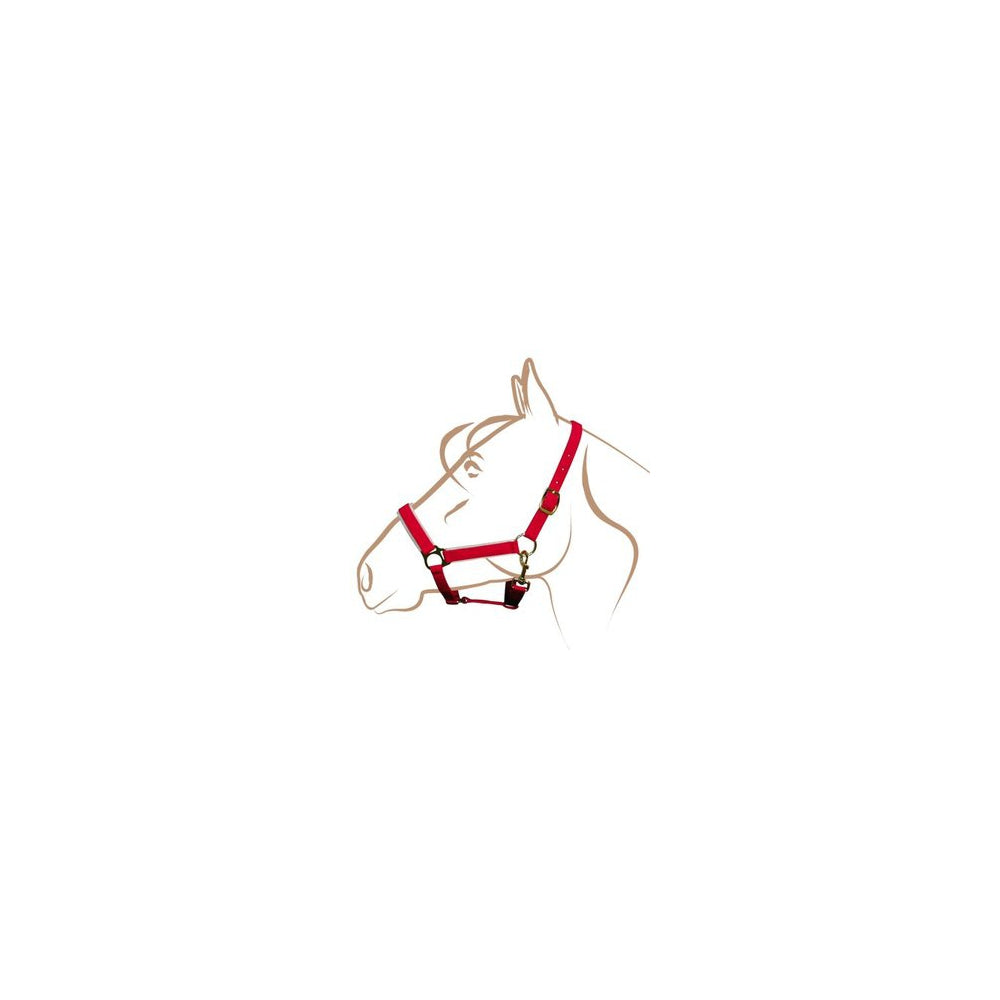 Articles de Noël pour cheval, cavalier et chien