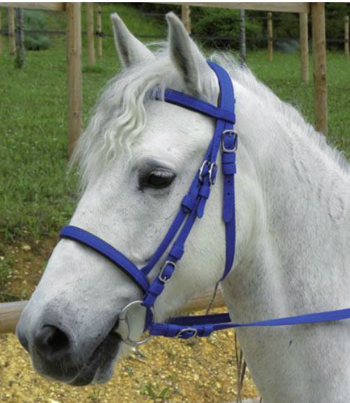 Polypro Shetland Trense