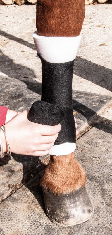 Schaumstoff-Unterbänder