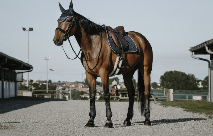 Tapis de selle Equitheme French Touch